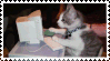 kitty
